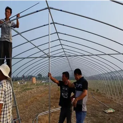 Instalaciones de Jardín cobertizo/Mini Casa Verde al Aire libre para Flores