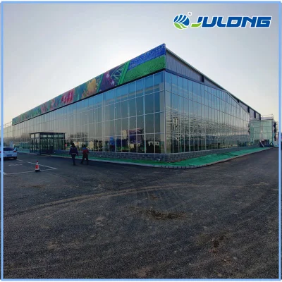 La tecnología inteligente de Venlo de efecto invernadero de cristal templado de tipo jardín interior hidropónicos de cultivo de hortalizas