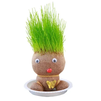  Kit de planta mini de diseño nuevo OEM