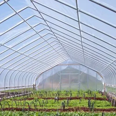 Instalaciones de Jardín cobertizo/Mini Casa Verde al Aire libre para Flores