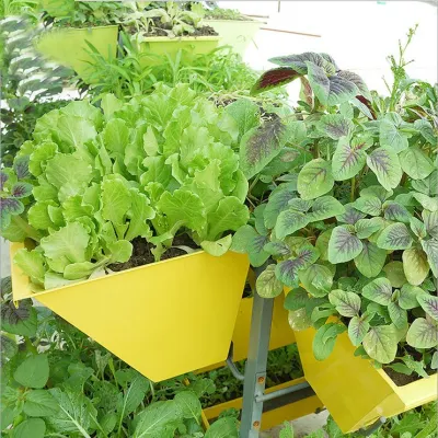 Jardín de casa - Combinación de múltiples capas grandes macetas de flores para plantar hortalizas