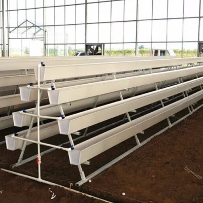  Nft Barranca creciente sistema hidropónico de fresas canal