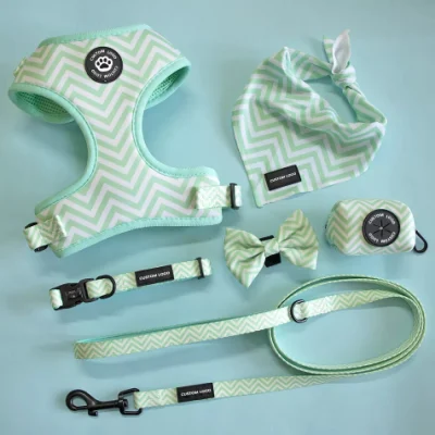 Diseño personalizado y logotipo arnés para mascotas, cuello, plomo, Soporte de bolsa poop, Accesorios para perros