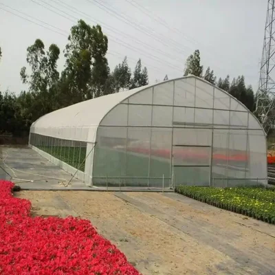  Impermeable Anti-Aging PVC Cover Jardín invernadero con riego para Rosa, Flor, Tomato