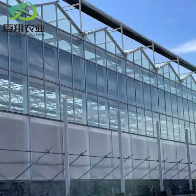  Invernadero Venlo PC de alta calidad para la plantación de hortalizas hidropónicas