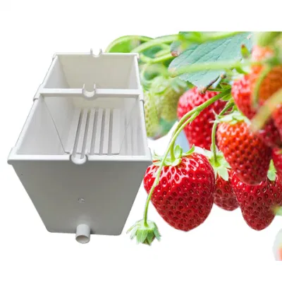  Invernadero hidropónico para Fresa Farm Groove PVC Gretter