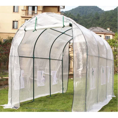  Estructura prefabricada Jardín Mini invernadero interior