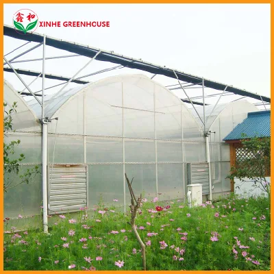  Serre Multi Span jardín cálido Agro Cobertizo con el sistema de ventilación