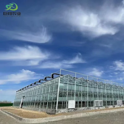 Granja barata Agrícola de vidrio Verde Casa para la venta