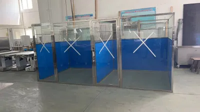 Perrera corre piscina interior climatizada Perrera