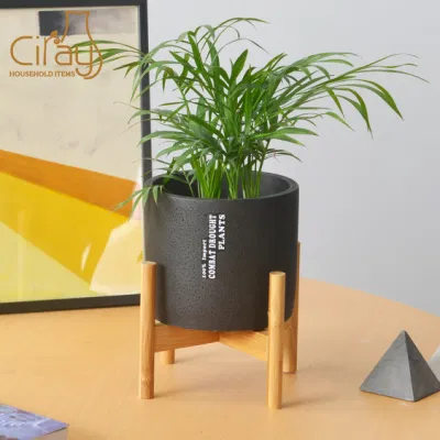  El hormigón en el interior de madera con soporte de la planta de bote