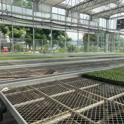 Invernadero de vidrio con pulverizador autopropulsado y banco rodante para Plantas de plantas de plantas vegetales/flores
