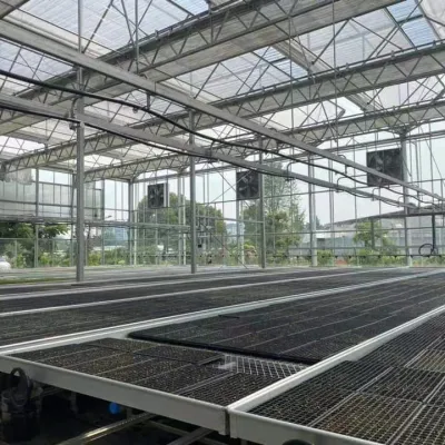 Invernadero de vidrio con pulverizador autopropulsado y banco rodante para Plantas de plantas de plantas vegetales/flores