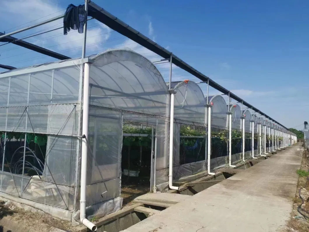 Indoor Vegetables Greenhouse Vertical Hydroponic Growing Systems