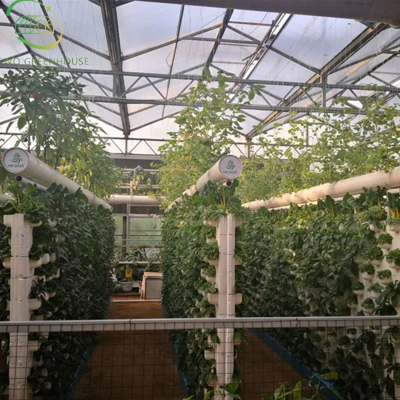 Good Price Vertical Farming Hydroponic Channel System and Nft Growing Systems for Greenhouse