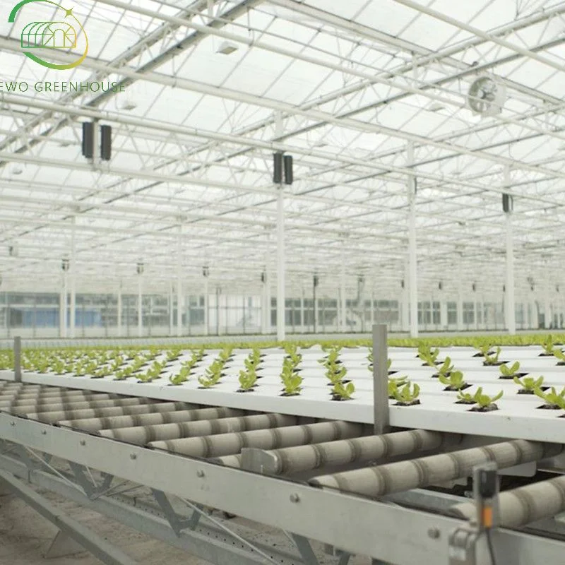 Good Price Vertical Farming Hydroponic Channel System and Nft Growing Systems for Greenhouse