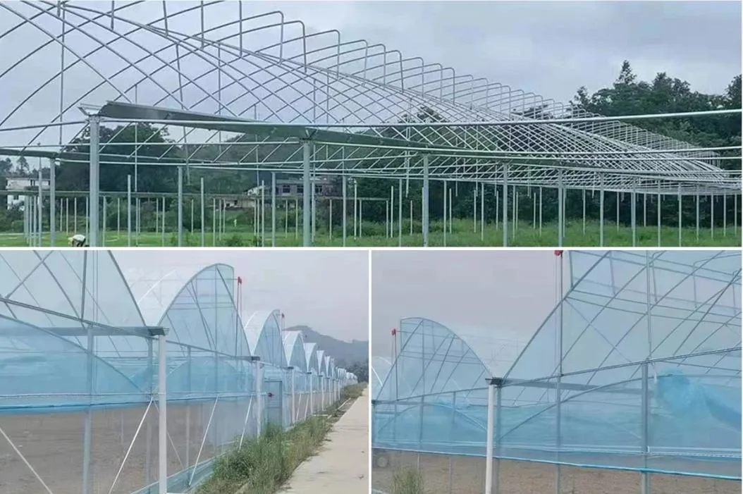 Greenhouse for Hydroponics Indoor Grow Tent Grow Room