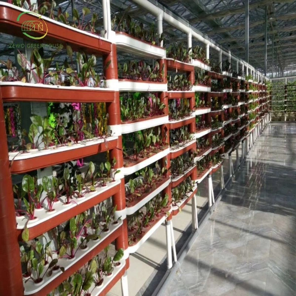 Good Price Vertical Farming Hydroponic Channel System and Nft Growing Systems for Greenhouse