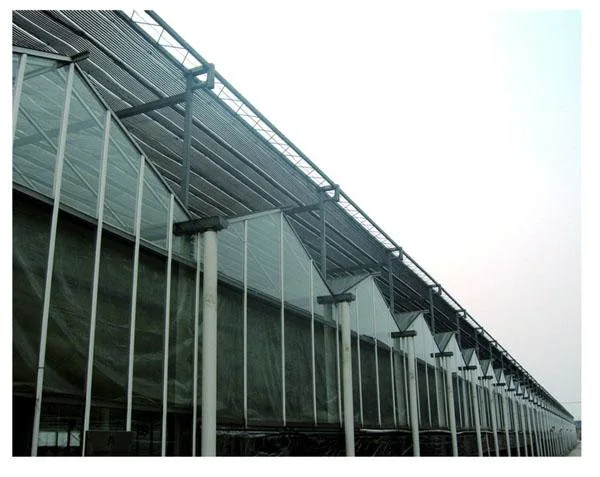 Venlo Type PC Greenhouses Glass Greenhouse for Vegetables/Flower/Cucumber Exhibition Hall Farm with Hydroponics System