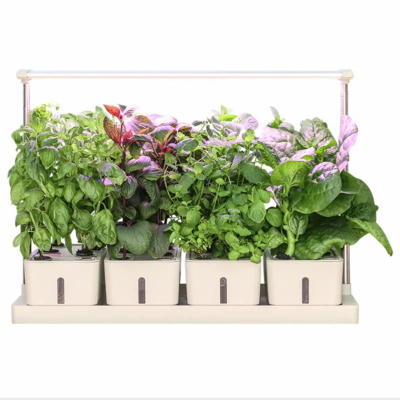 Indoor Plastic Smart Garden Mini Hydroponics Systems with LED