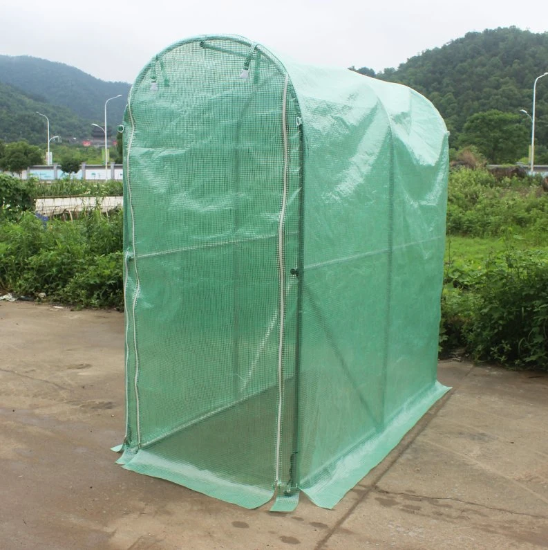 Hot Sale Tomato Household Small Portable PE Covering Garden Greenhouse