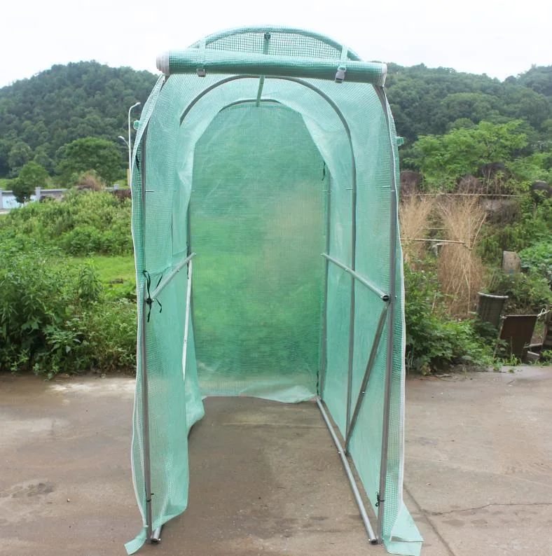 Hot Sale Tomato Household Small Portable PE Covering Garden Greenhouse