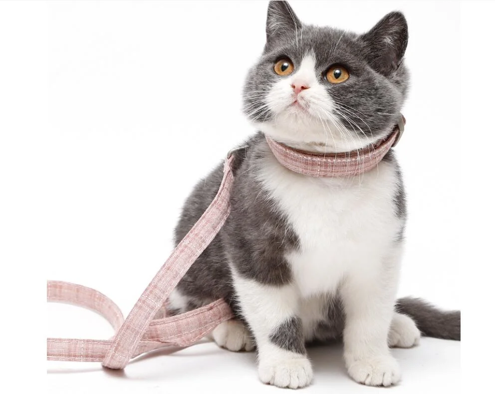 Walking Escape Proof Cat Vest Harness and Leash Escape Proof Soft Mesh Breathable Adjustable Pet Vest Harnesses Cat Harness and Leash