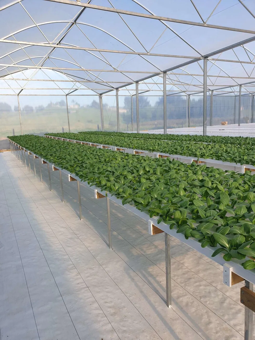 PVC Nft Channel Hydroponic Growing Channel Systems for Farming