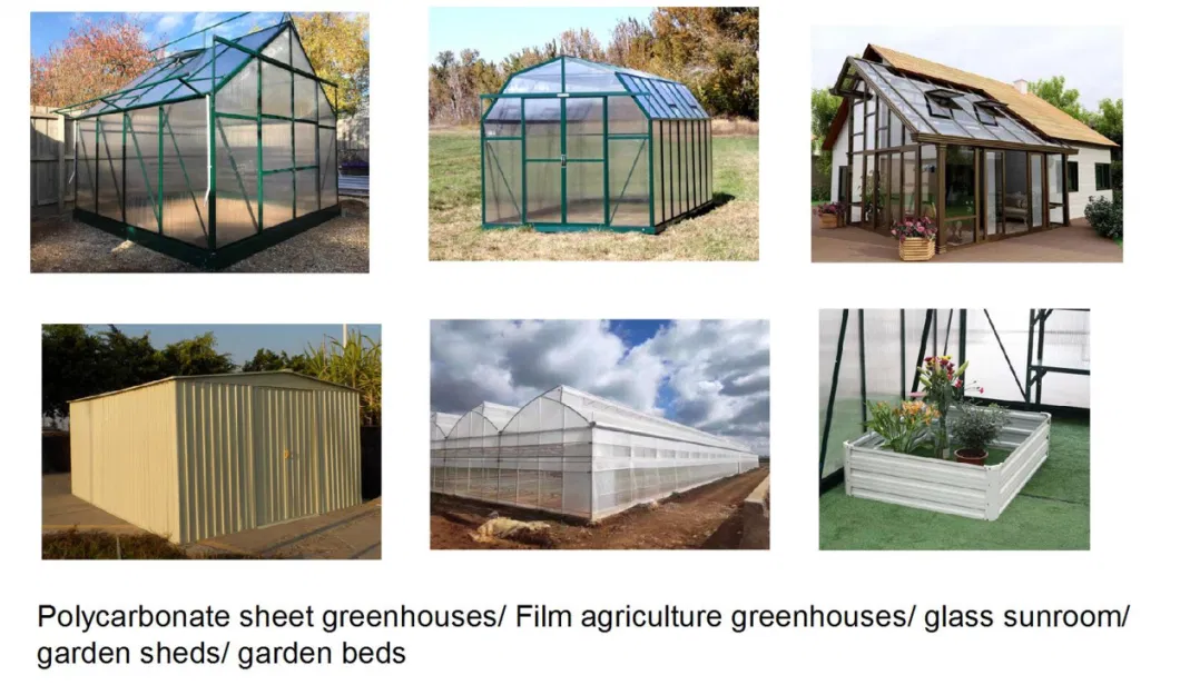 Agricultural Hydroponic System Aluminium and Polycarbonate Building Material Greenhouses Green House Rdgs0810-6mm