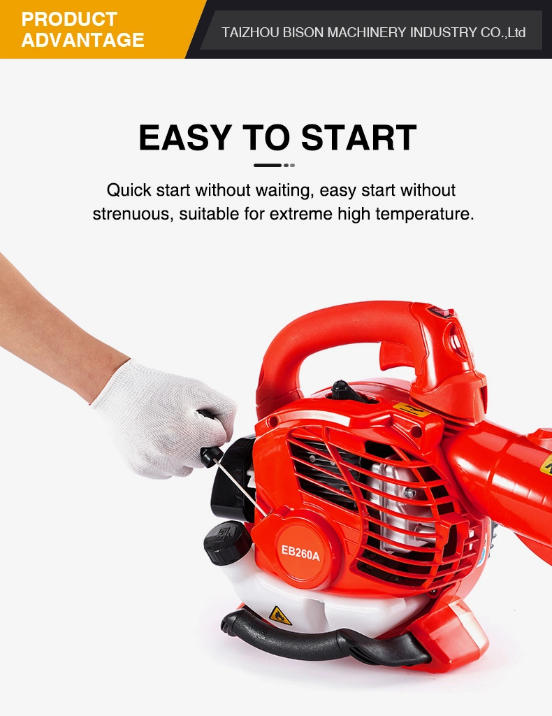 Bison Household Mini Cordless Electric Leaf Vacuum Dust Blowers with Battery