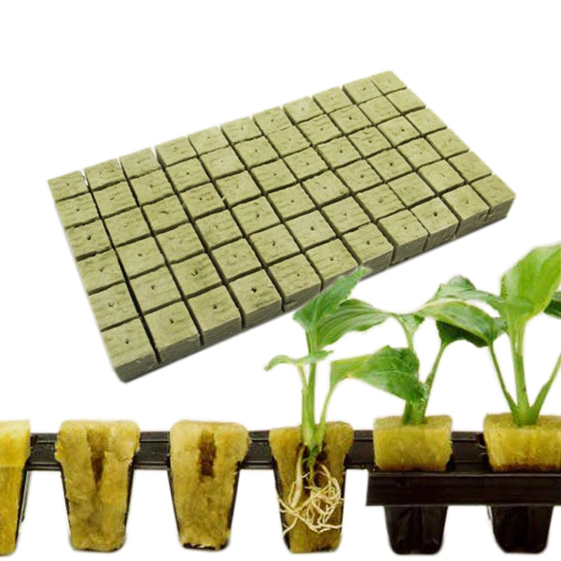 6 Inch Indoor Hydroponic Garden Rock Wool Cubes for Medical Planting