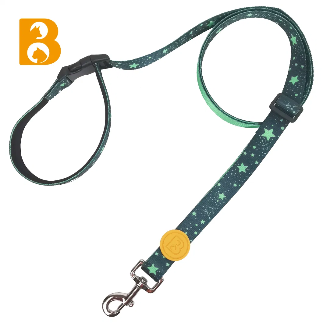 5 Ways Fashion Low Quantity Printing Pet Leads Adjustable Polyester Durable Pet Dog Leash Collar Accessories Matching Dog Collar Leash Harness