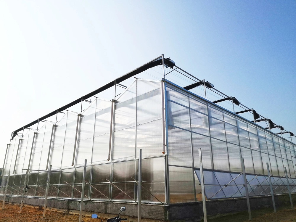 Polycarbonate Sheet Commercial Garden Eco Greenhouse with Hydroponics/ Cocopeat Planting System/ LED Grow Light System Aluminum Alloy for Agriculture/ Poultry