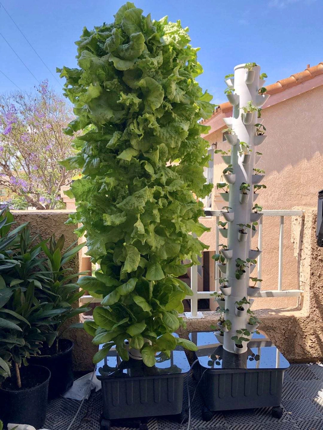 Garden Indoor DIY Hydroponic System Vertical Grow Tower for Lettuce/Celery/Vegetable/Crops Aeroponics Growing
