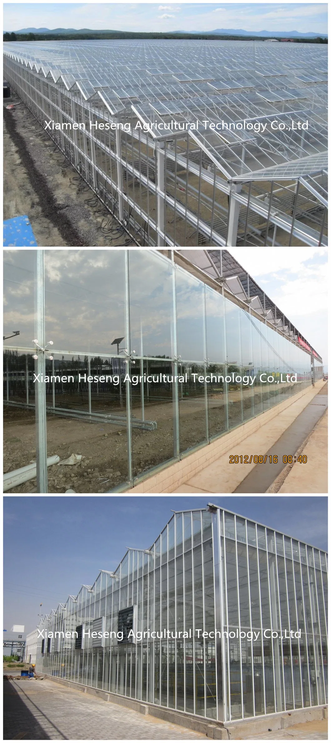 Venlo Hollow Double Tempered Glass Greenhouse with Hydroponics Growing System for Vegetables/Flowers/Tomato/Farm/Garden/Eco Restaurant/Agriculture/Crops