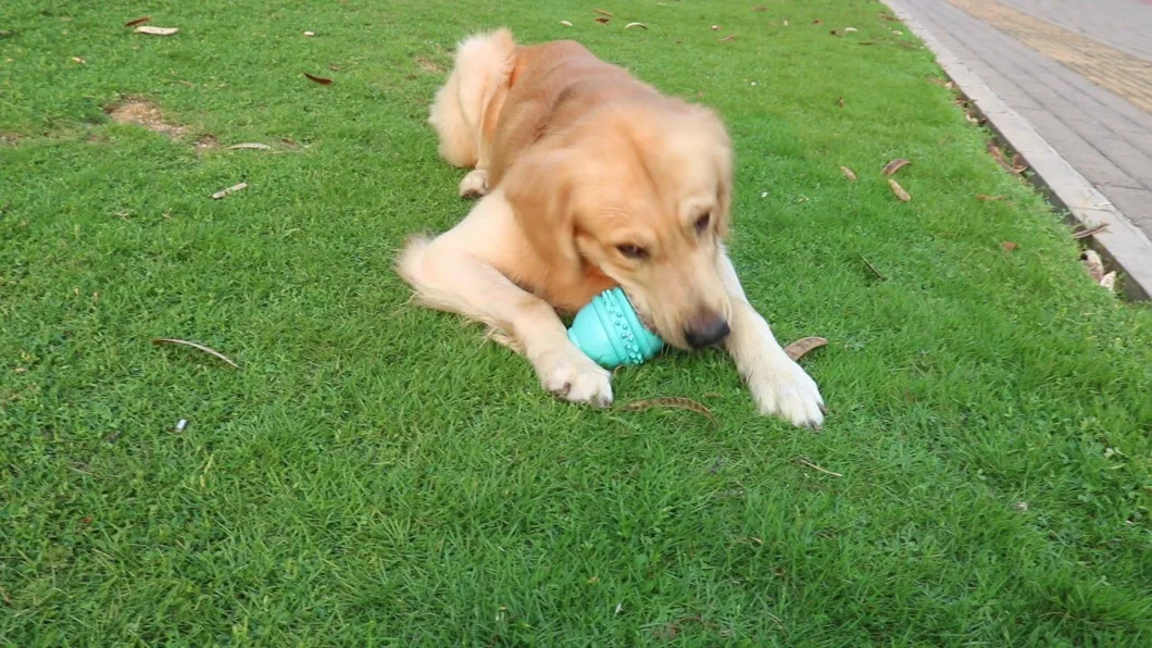 Dog Leakage Round Jar Bottle Shape Chew Toys Teething Aggressive Chewer Esg12795