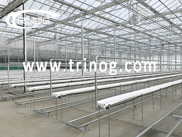 Trinog Greenhouse venlo glass portable greenhouse Green house with hydroponics system