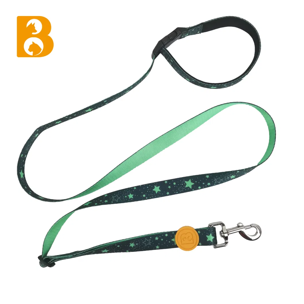 5 Ways Fashion Low Quantity Printing Pet Leads Adjustable Polyester Durable Pet Dog Leash Collar Accessories Matching Dog Collar Leash Harness