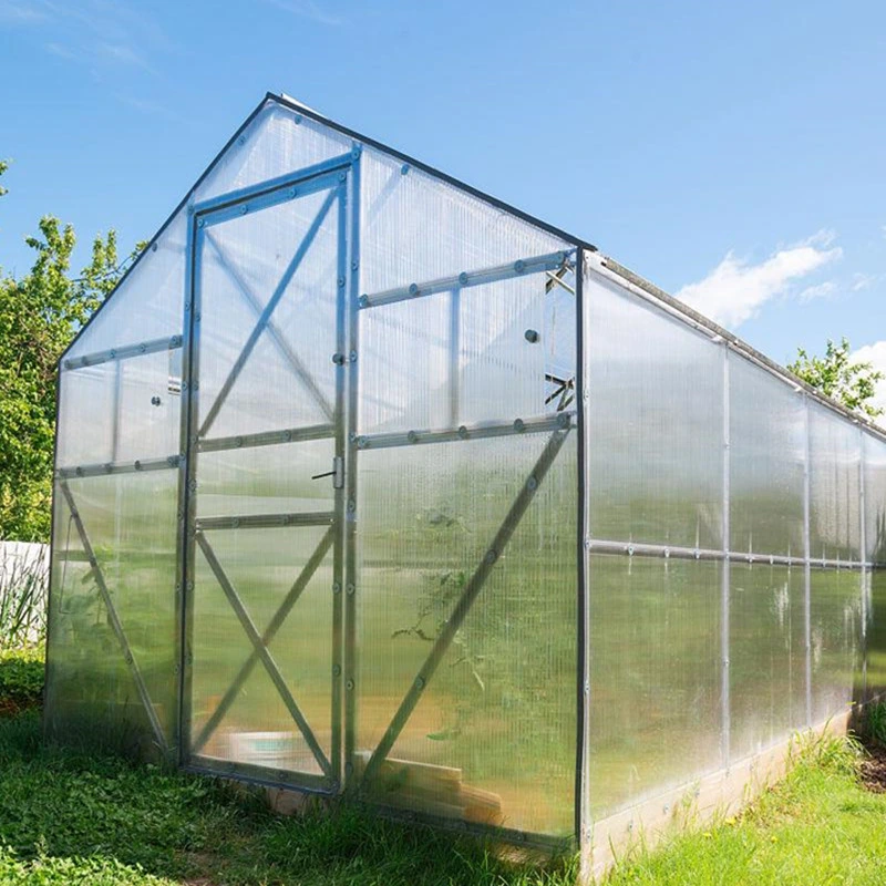 Supplies Walk in Construction Plant Shade Portable Green House Small Scale Greenhouse Single Span Mini Greenhouse Garden