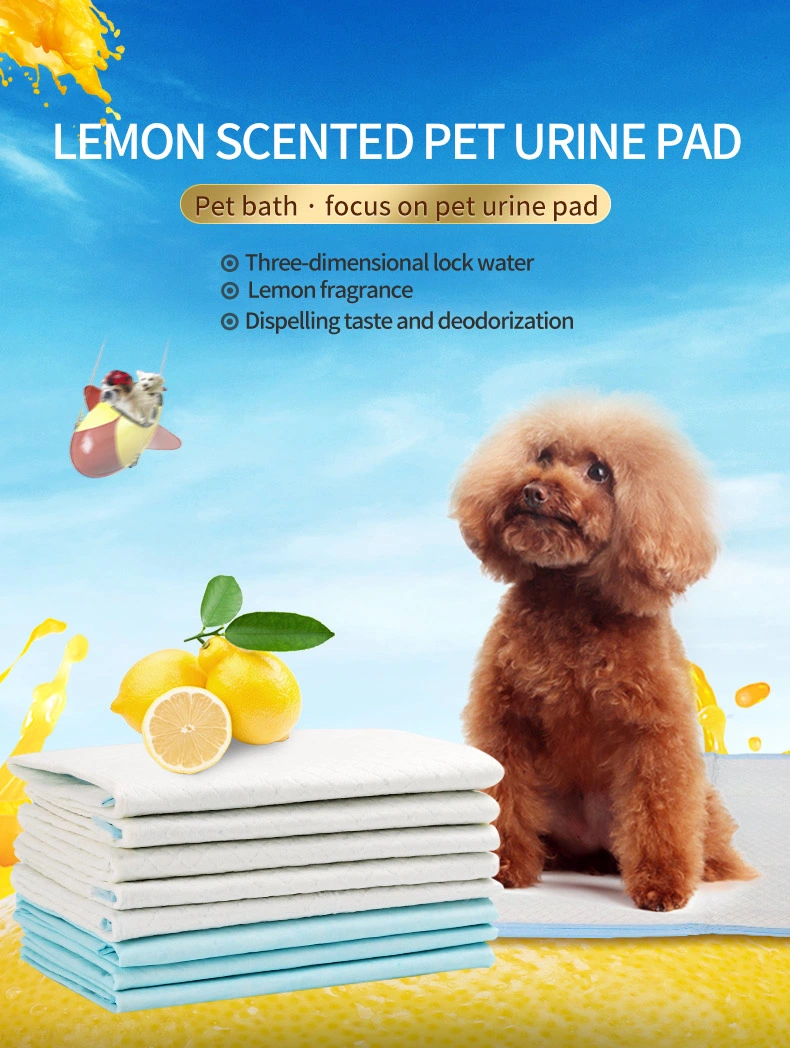 Manufacturer Sample Free Disposable Dog PEE Pads Disposable Pet Puppy Training PEE Pad