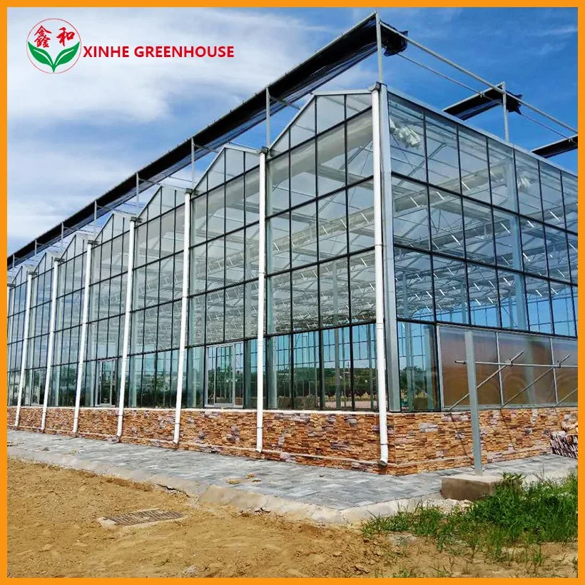 Multi/Single Span Green House with Hollow Tempered Glass/Hydroponic System for/Vegetables/Fruit/Flower/Lettuce/Pepper/Bell Pepper/Mushroom