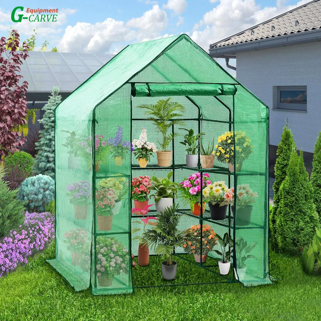 Greenhouse Portable Outdoor Small Green Houses with PE Cover