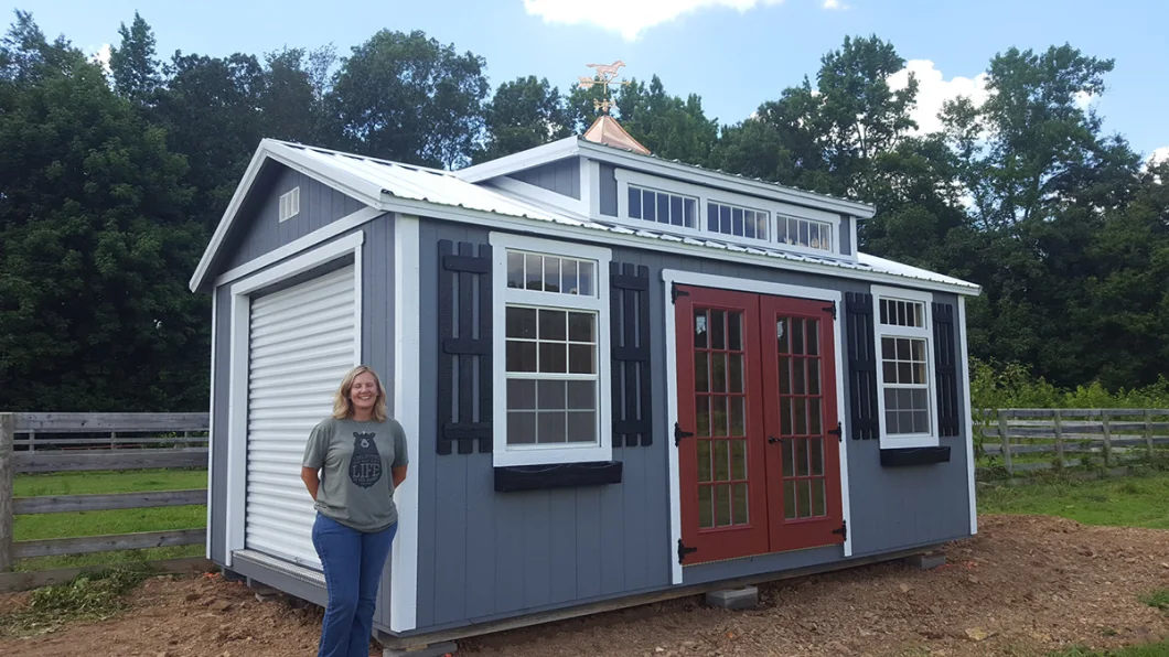 Low Cost Prefabricated Light Steel Structure Garden Shed