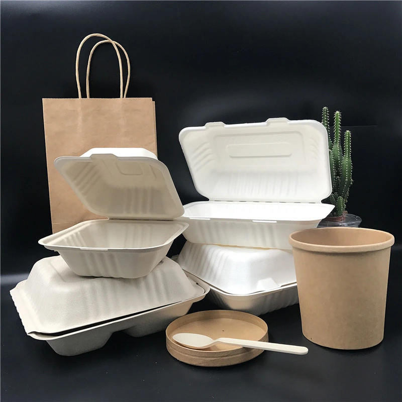 Hot Sale Customized Printing Eco Friendly Biodegradable Disposable Sugarcane Pulp Packaging Food Takeaway Lunch Box Food Container Made in China