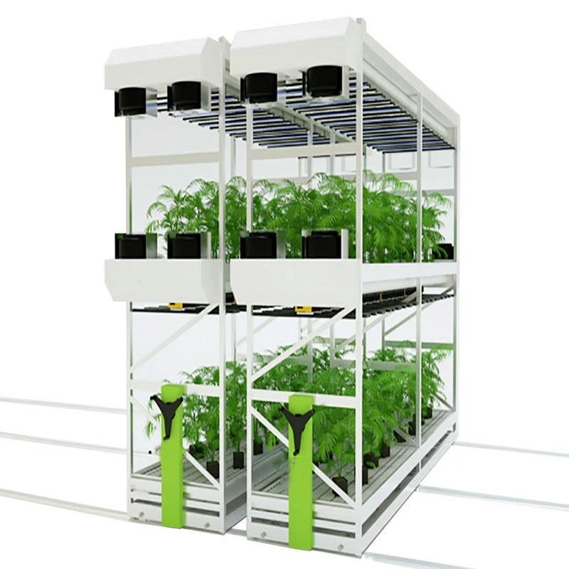 Grow Rack Double Layer Vertical Grow Table Rack Hydroponic Growing System Indoor