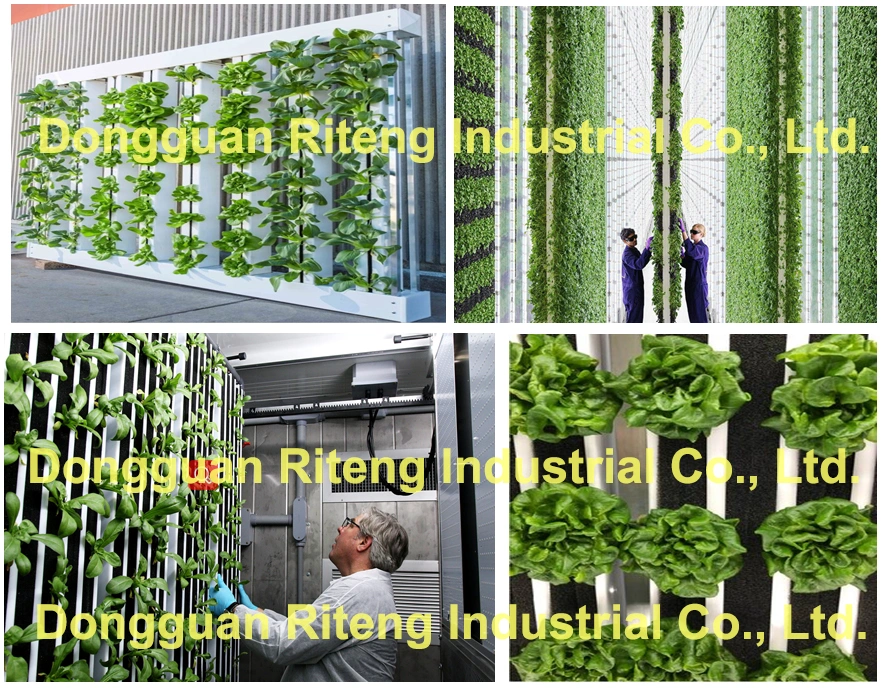 Indoor Vertical Hydroponic Plant Growing Systems