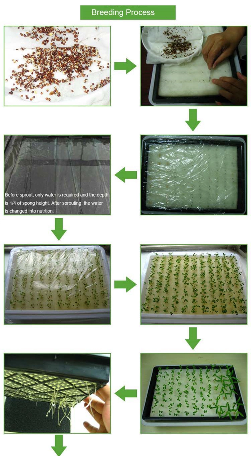 Garden Indoor DIY Hydroponic System Vertical Grow Tower for Lettuce/Celery/Vegetable/Crops Aeroponics Growing