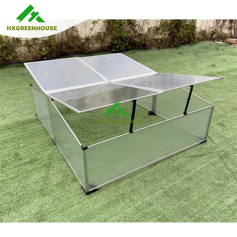 Plastic Grow Tent Complete Kit for Garden Flowers Hx63 Green House