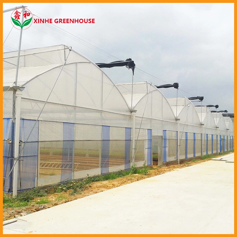 Arch Type Plastic Film Agriculture Garden Green House for Tomatoes/Fruits/Cabbage/Cauliflower/Cassava/Cucumber/Tomoto/Cherry Tomoto/Color Capscium/Pepper