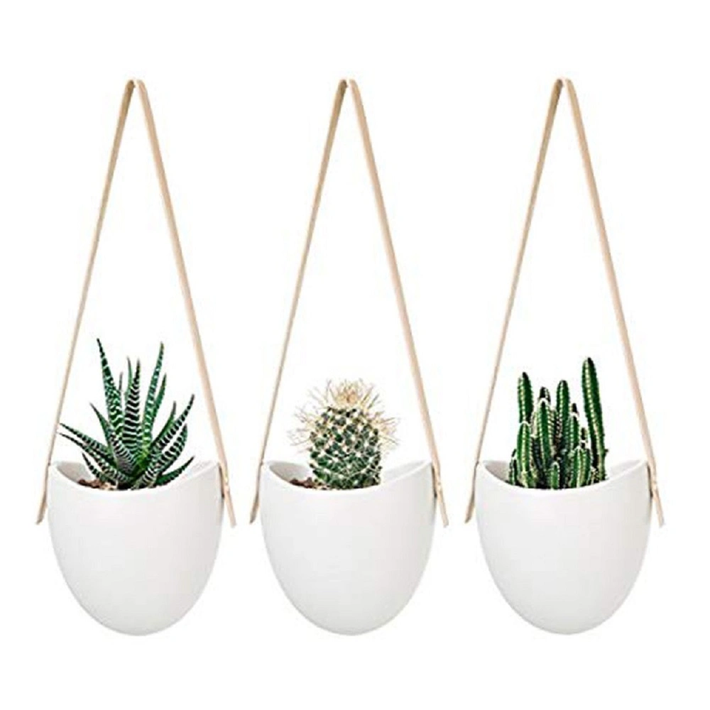 Wall Hanging Self-Watering Planter 3 Pieces White Pot Indoor Ceramic Flower Pot for Bonsai Plants Home Decoration Esg17465